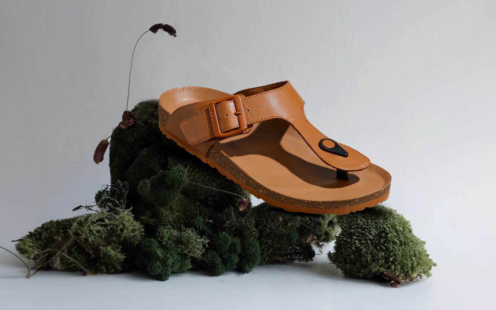 Cork Thong Sandals : Tan